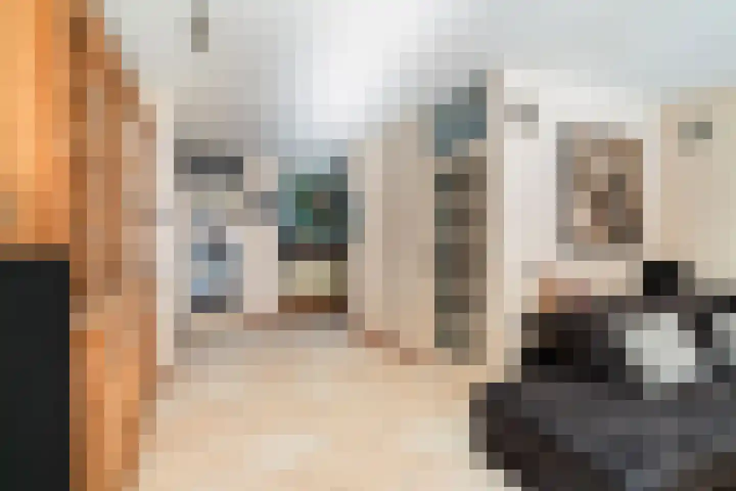 Paardenbloem 12 Naaldwijk thumbnail 10