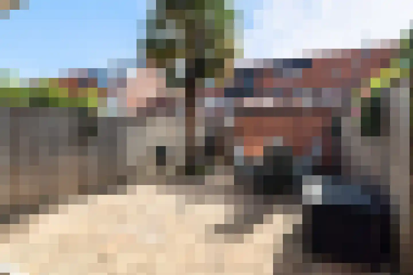 Paardenbloem 12 Naaldwijk thumbnail 13