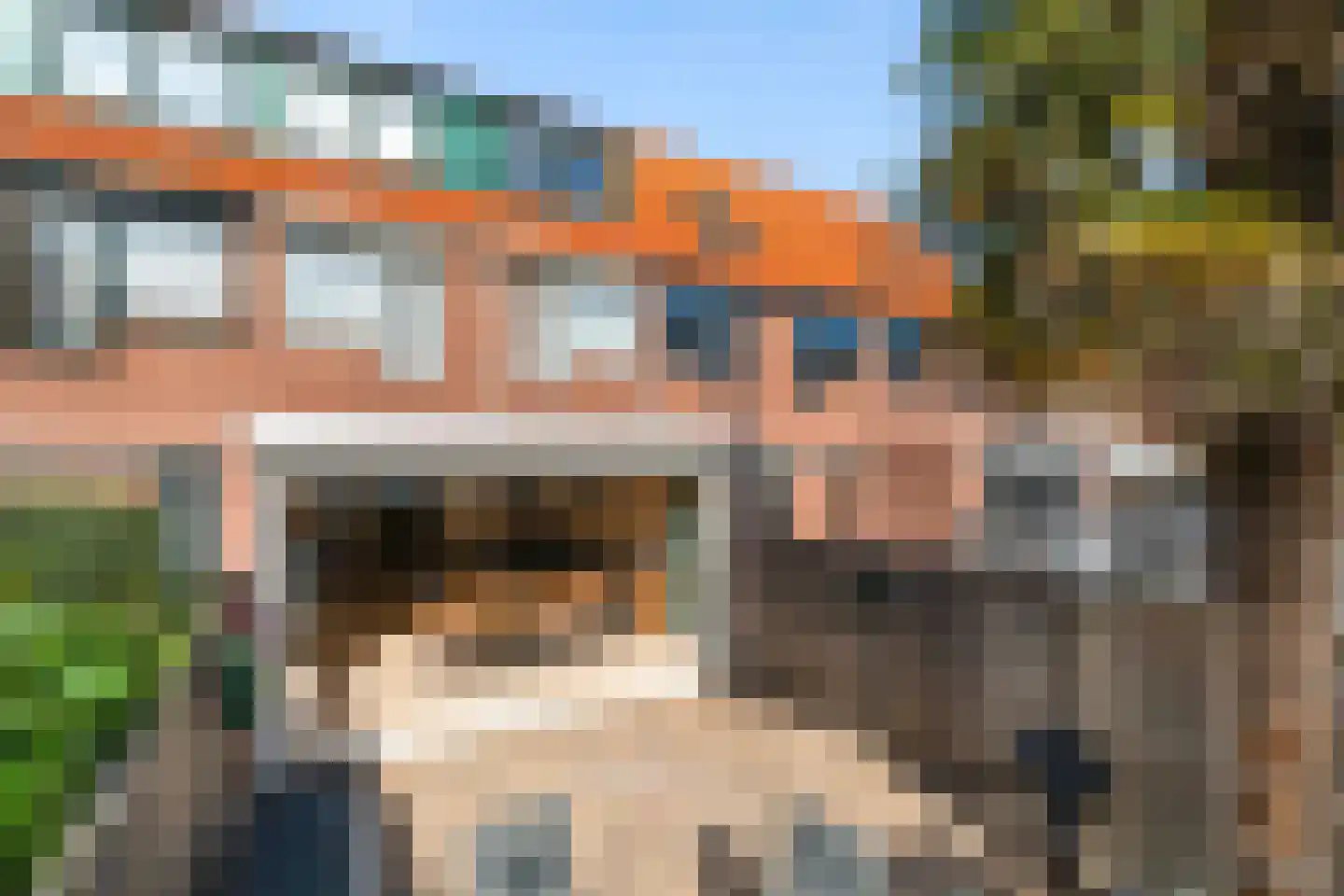 Paardenbloem 12 Naaldwijk thumbnail 14