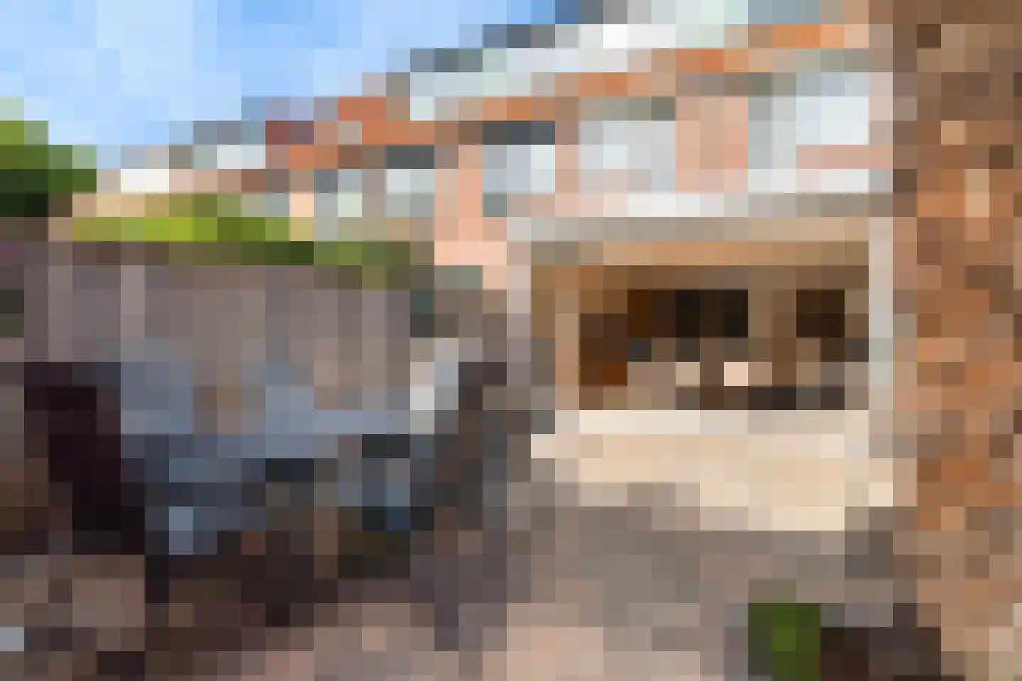 Paardenbloem 12 Naaldwijk thumbnail 15