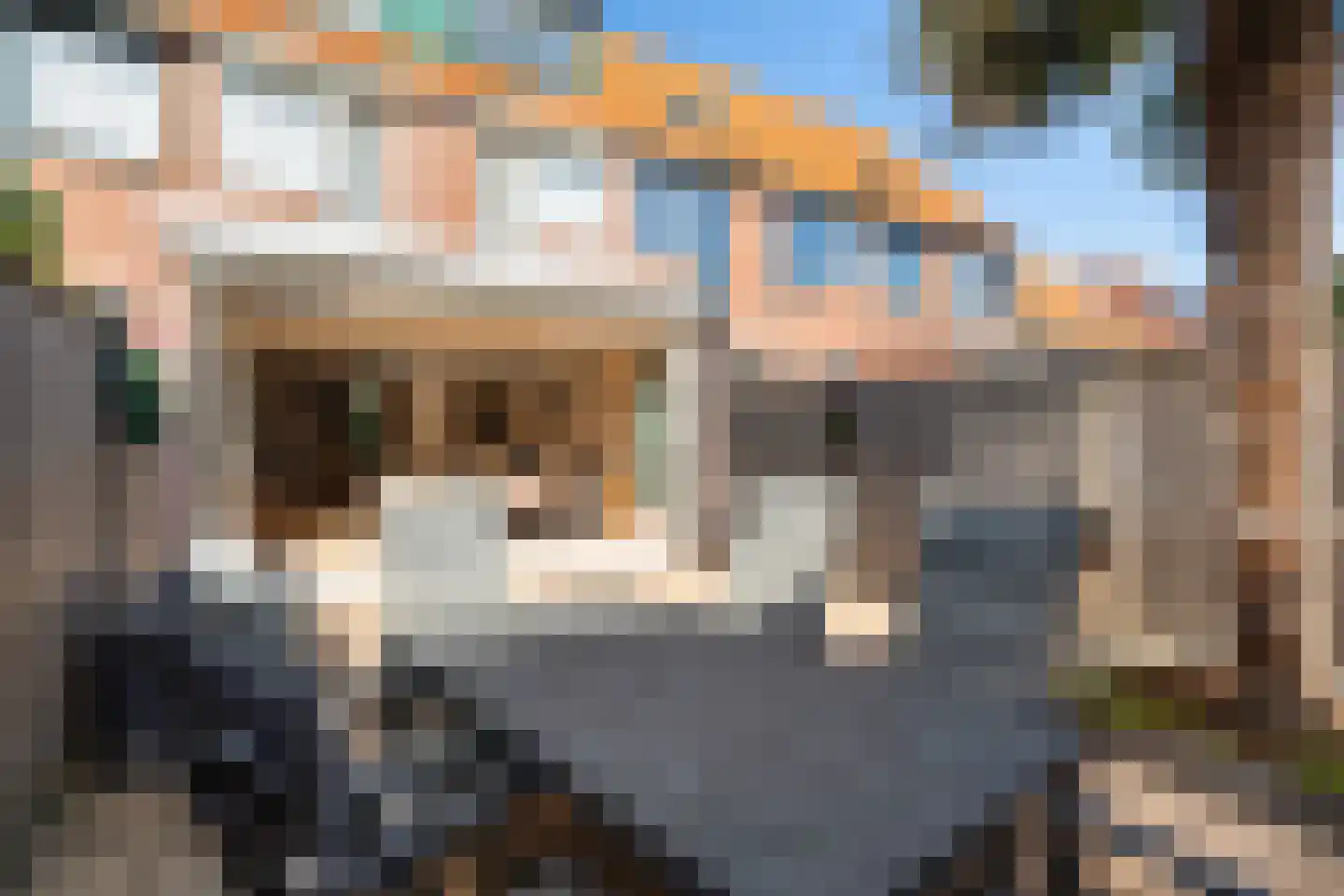 Paardenbloem 12 Naaldwijk thumbnail 16