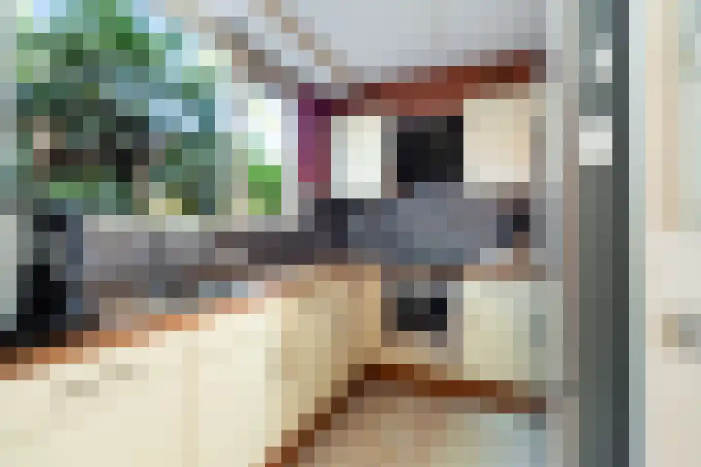 Paardenbloem 12 Naaldwijk thumbnail 18