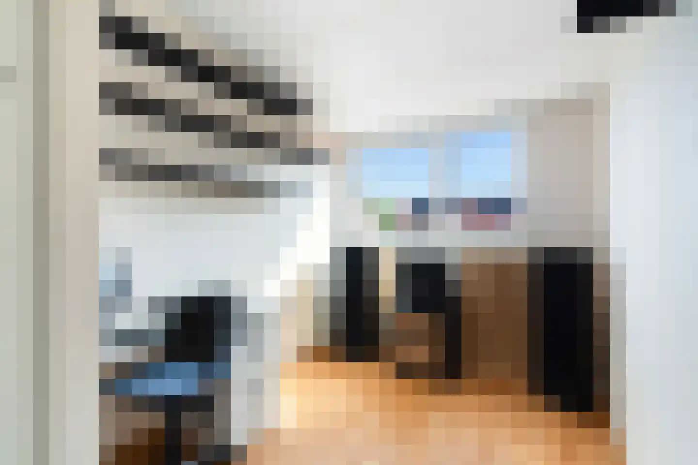 Paardenbloem 12 Naaldwijk thumbnail 38