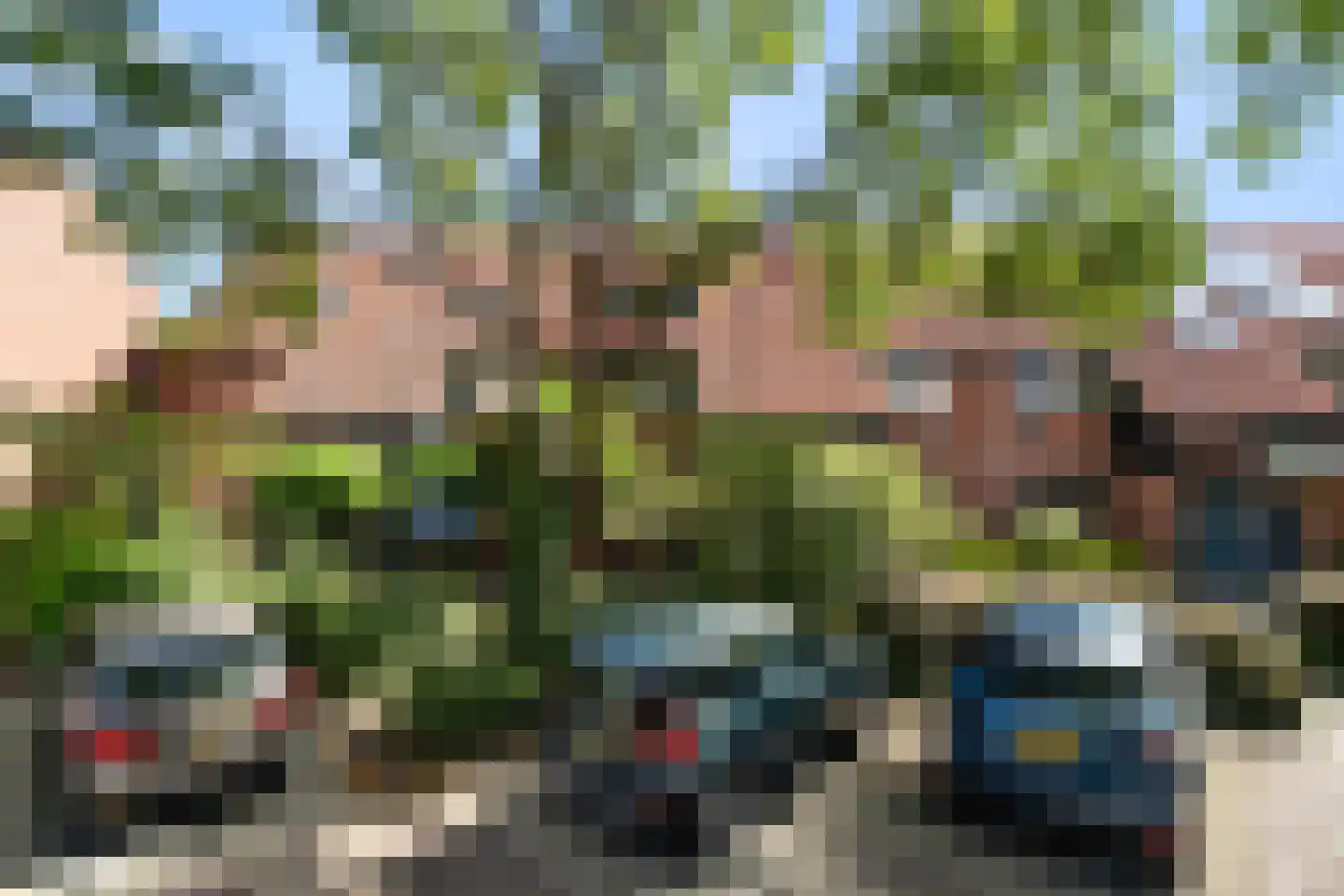 Paardenbloem 12 Naaldwijk thumbnail 45