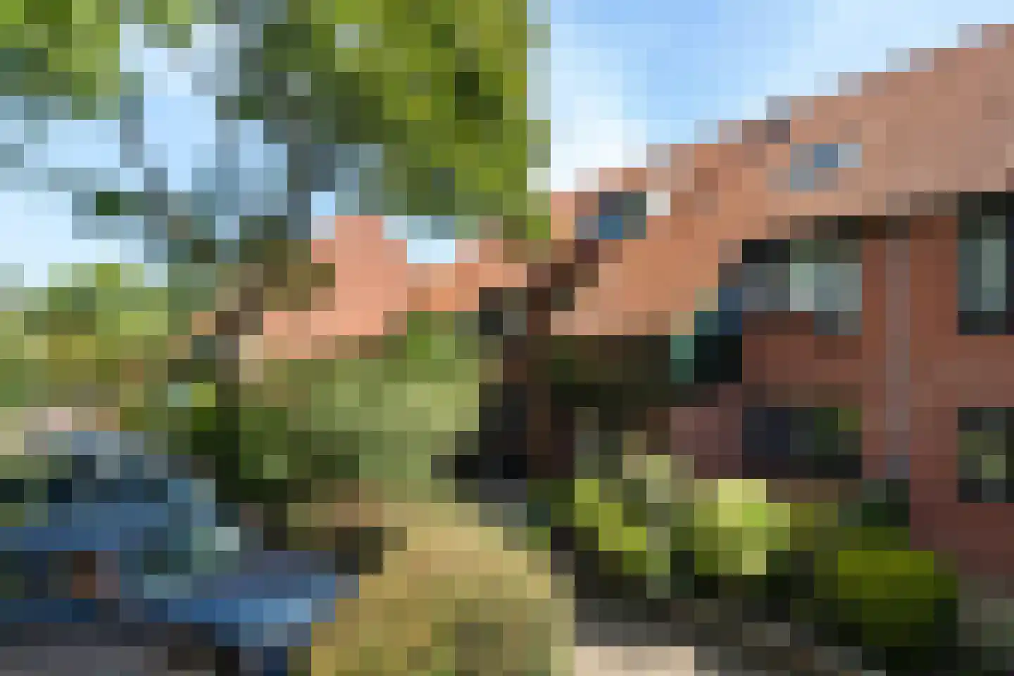 Paardenbloem 12 Naaldwijk thumbnail 46