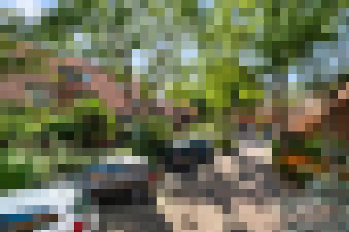 Paardenbloem 12 Naaldwijk thumbnail 47