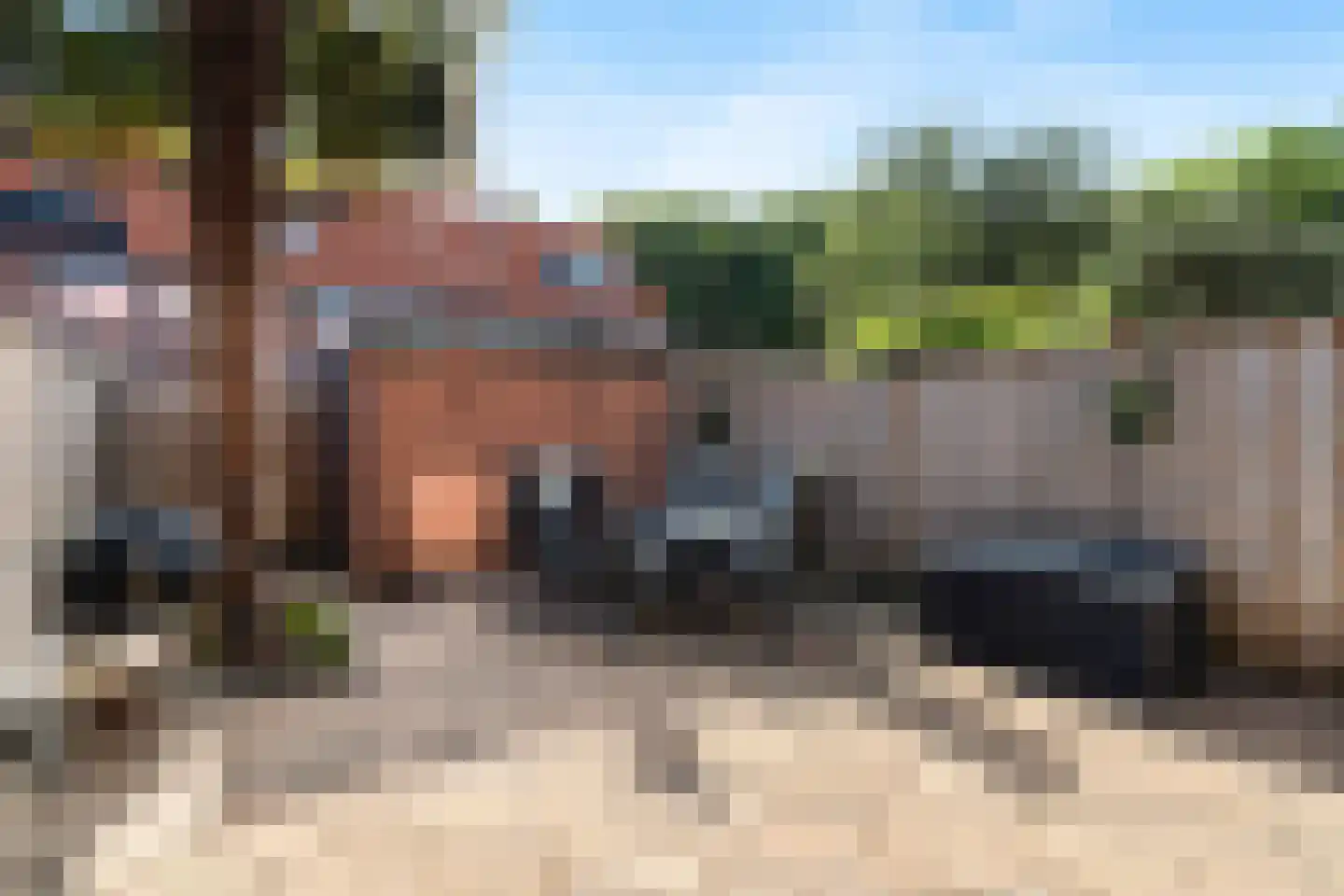 Paardenbloem 12 Naaldwijk thumbnail 5