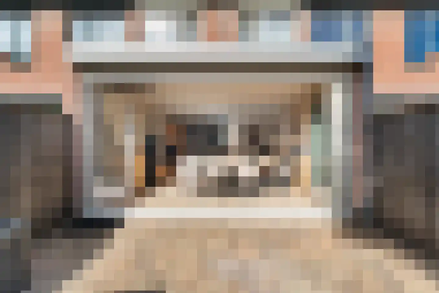 Paardenbloem 12 Naaldwijk thumbnail 6