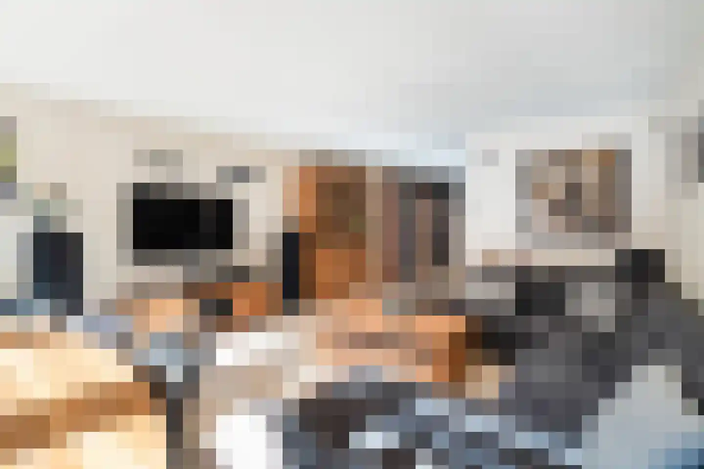 Paardenbloem 12 Naaldwijk thumbnail 7