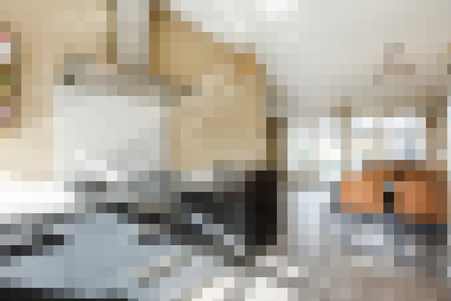 Paardenbloem 12 Ruurlo thumbnail 11