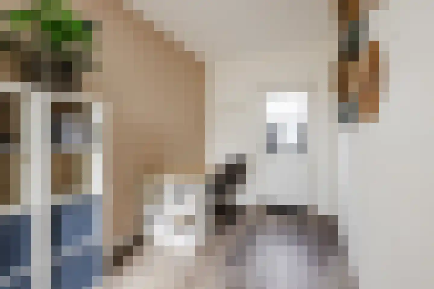 Paardenbloem 12 Ruurlo thumbnail 19