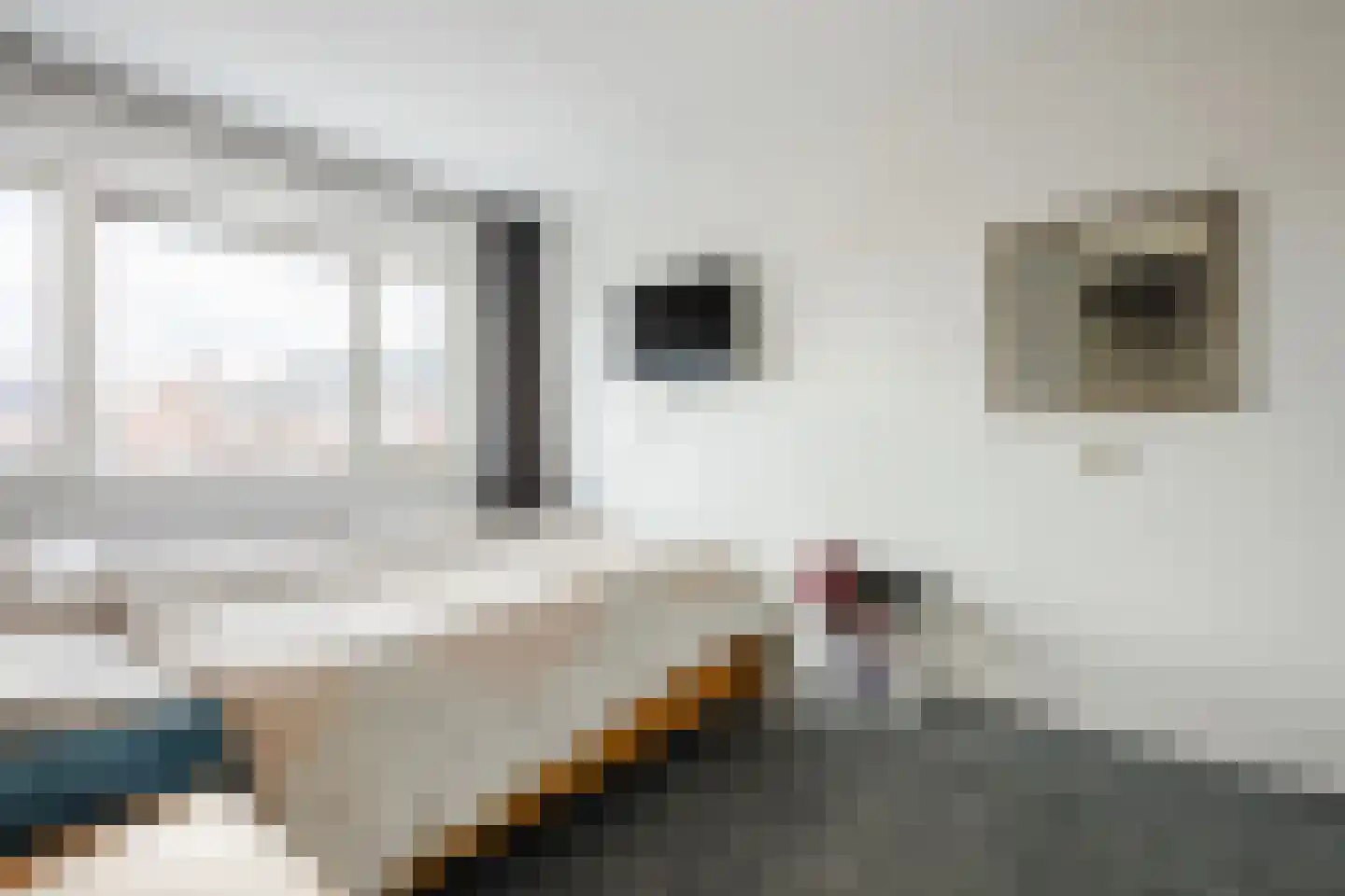 Paardenbloem 12 Ruurlo thumbnail 22