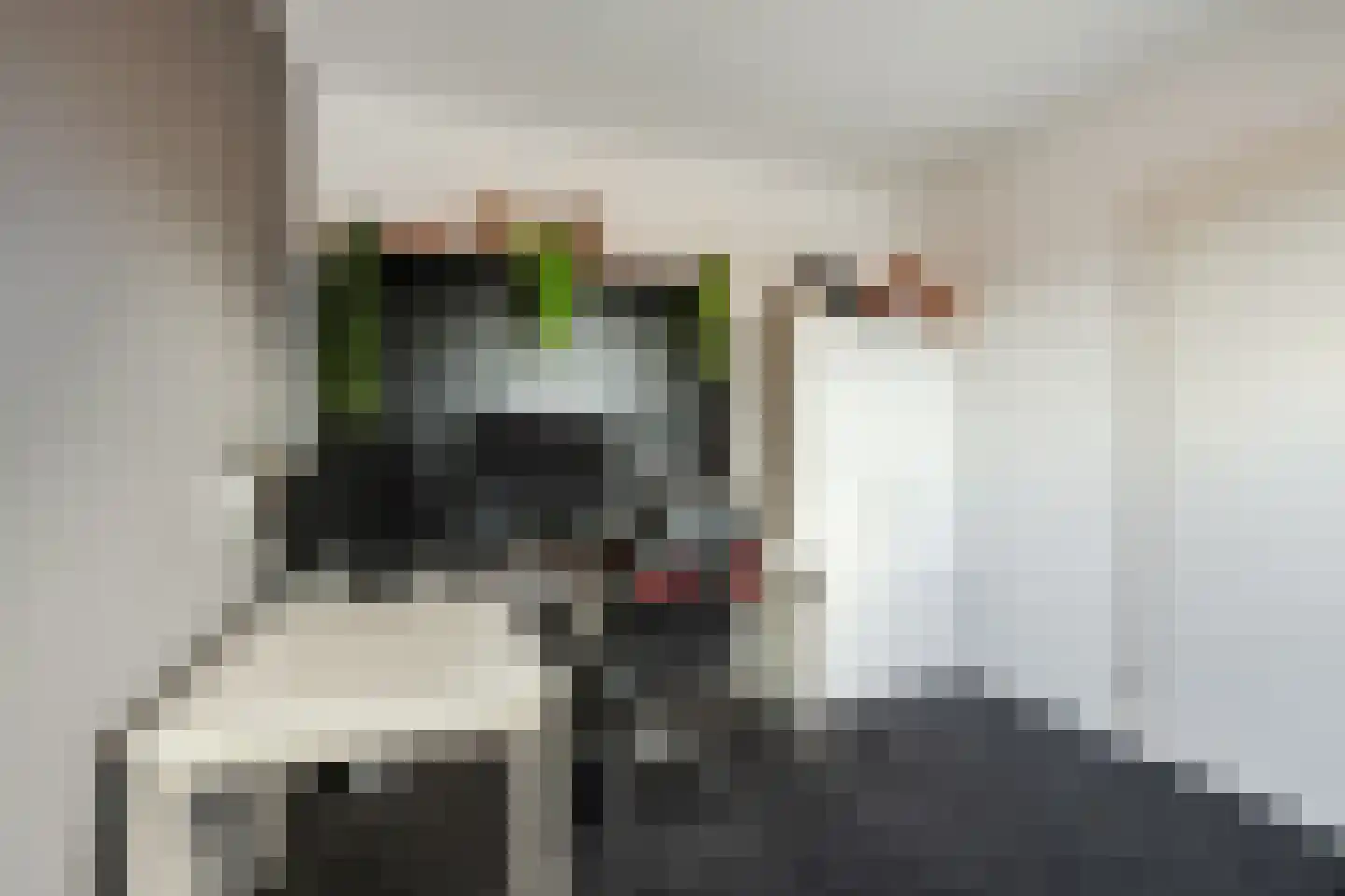 Paardenbloem 12 Ruurlo thumbnail 34