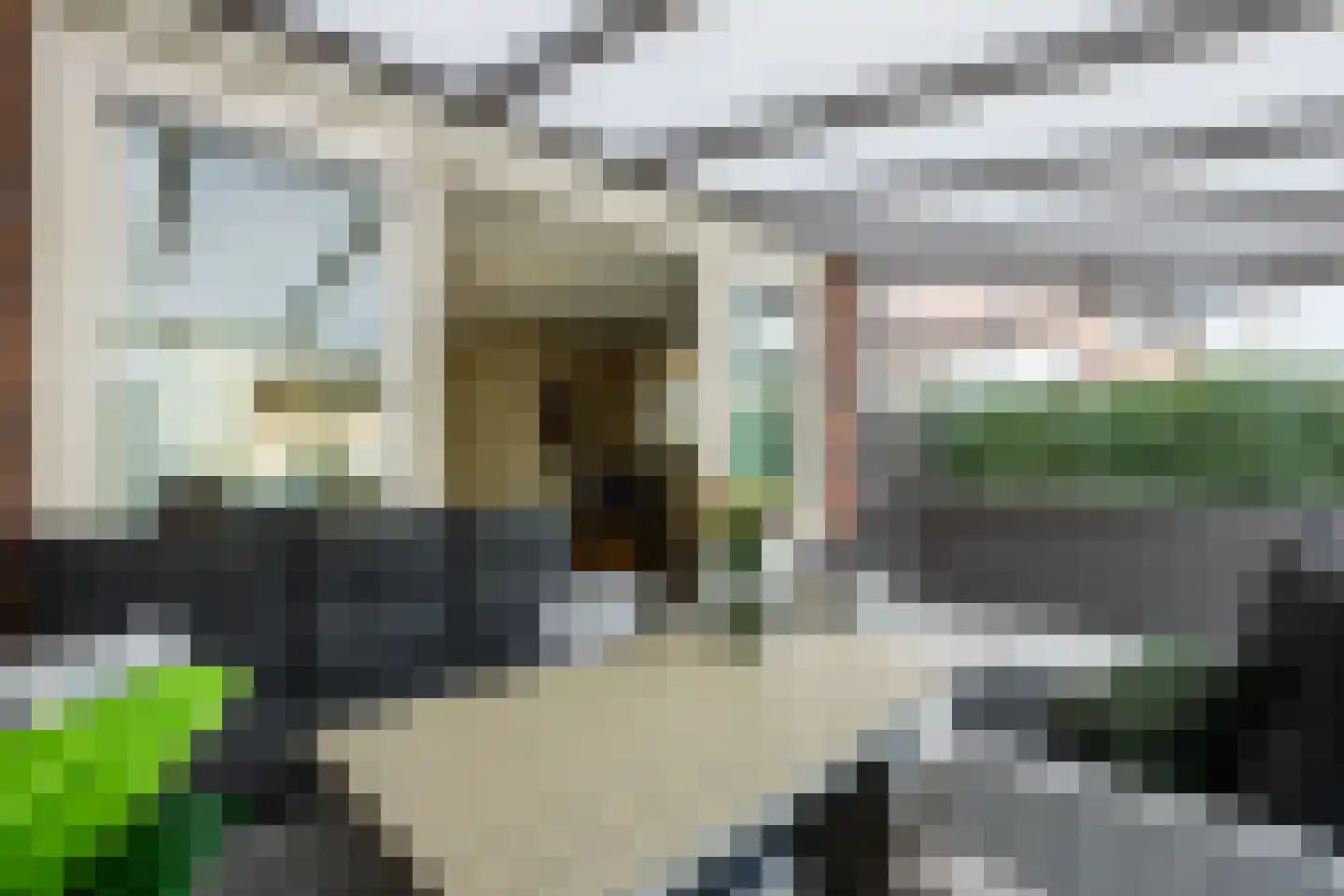 Paardenbloem 12 Ruurlo thumbnail 42