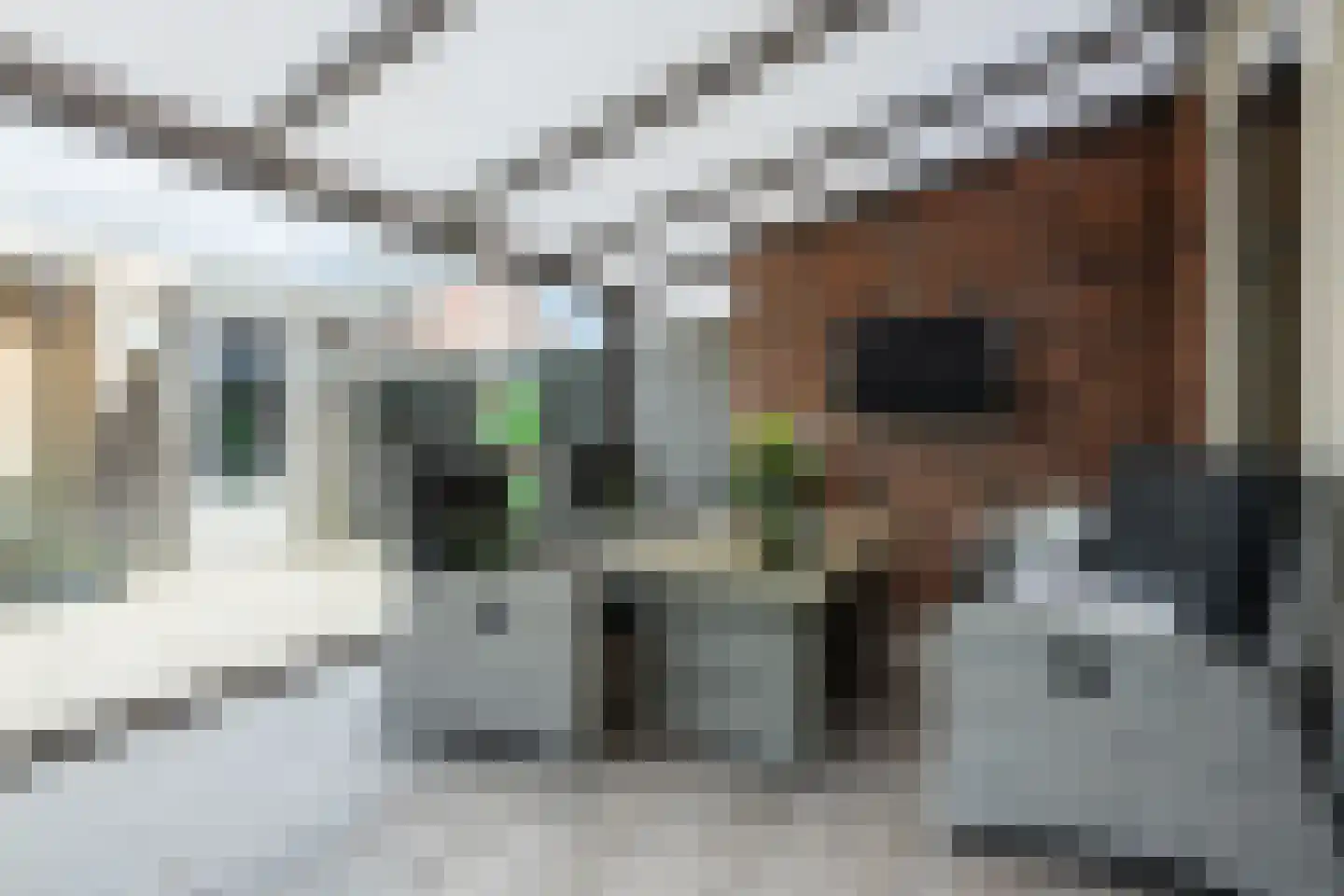 Paardenbloem 12 Ruurlo thumbnail 44