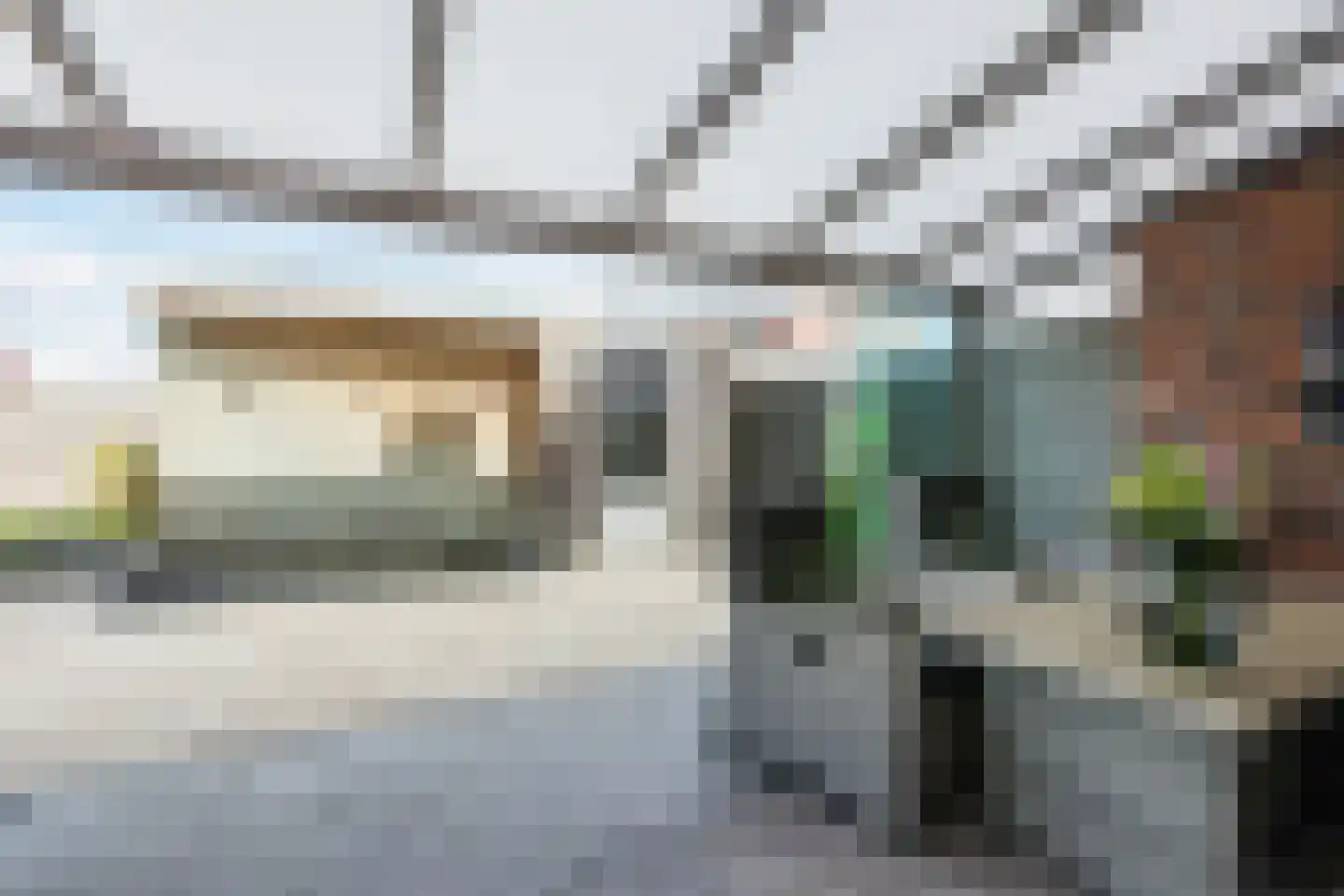 Paardenbloem 12 Ruurlo thumbnail 46