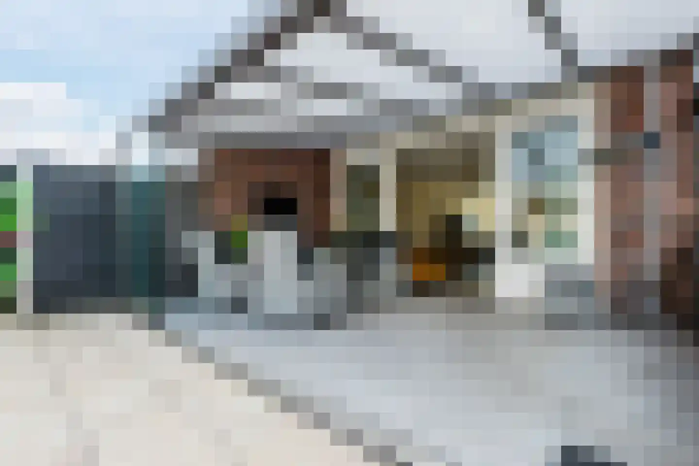 Paardenbloem 12 Ruurlo thumbnail 47