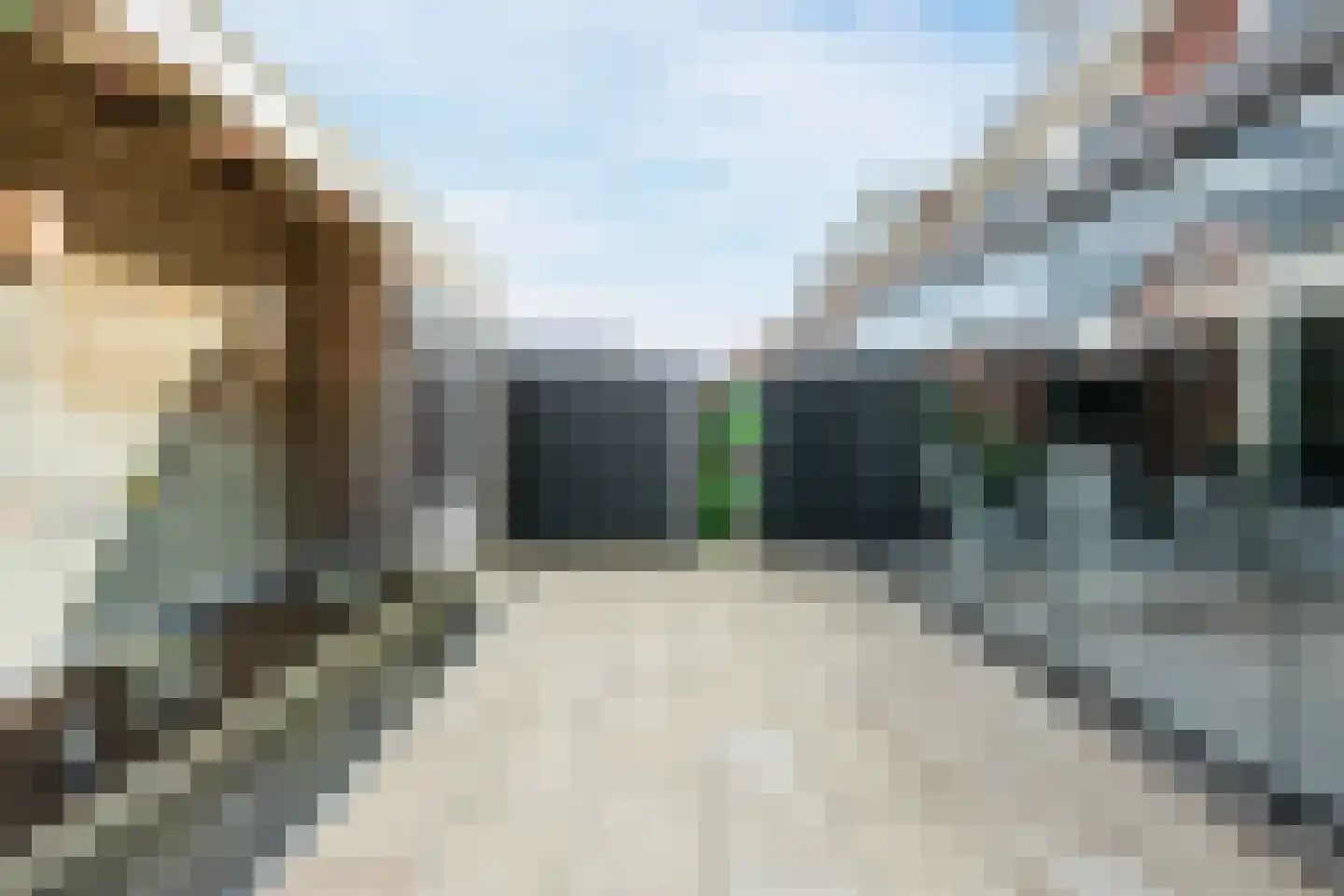 Paardenbloem 12 Ruurlo thumbnail 48