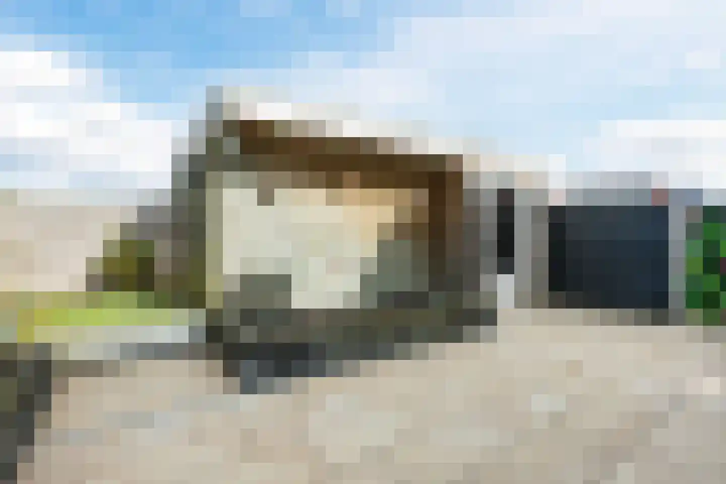 Paardenbloem 12 Ruurlo thumbnail 49
