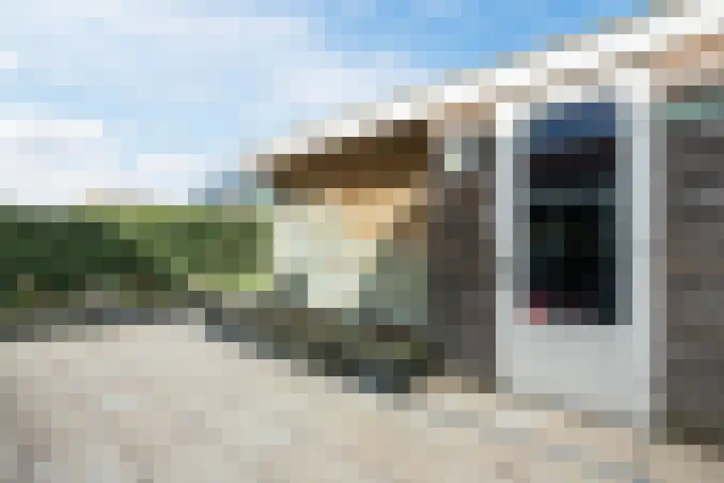 Paardenbloem 12 Ruurlo thumbnail 50