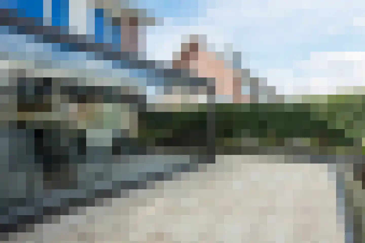 Paardenbloem 12 Ruurlo thumbnail 51
