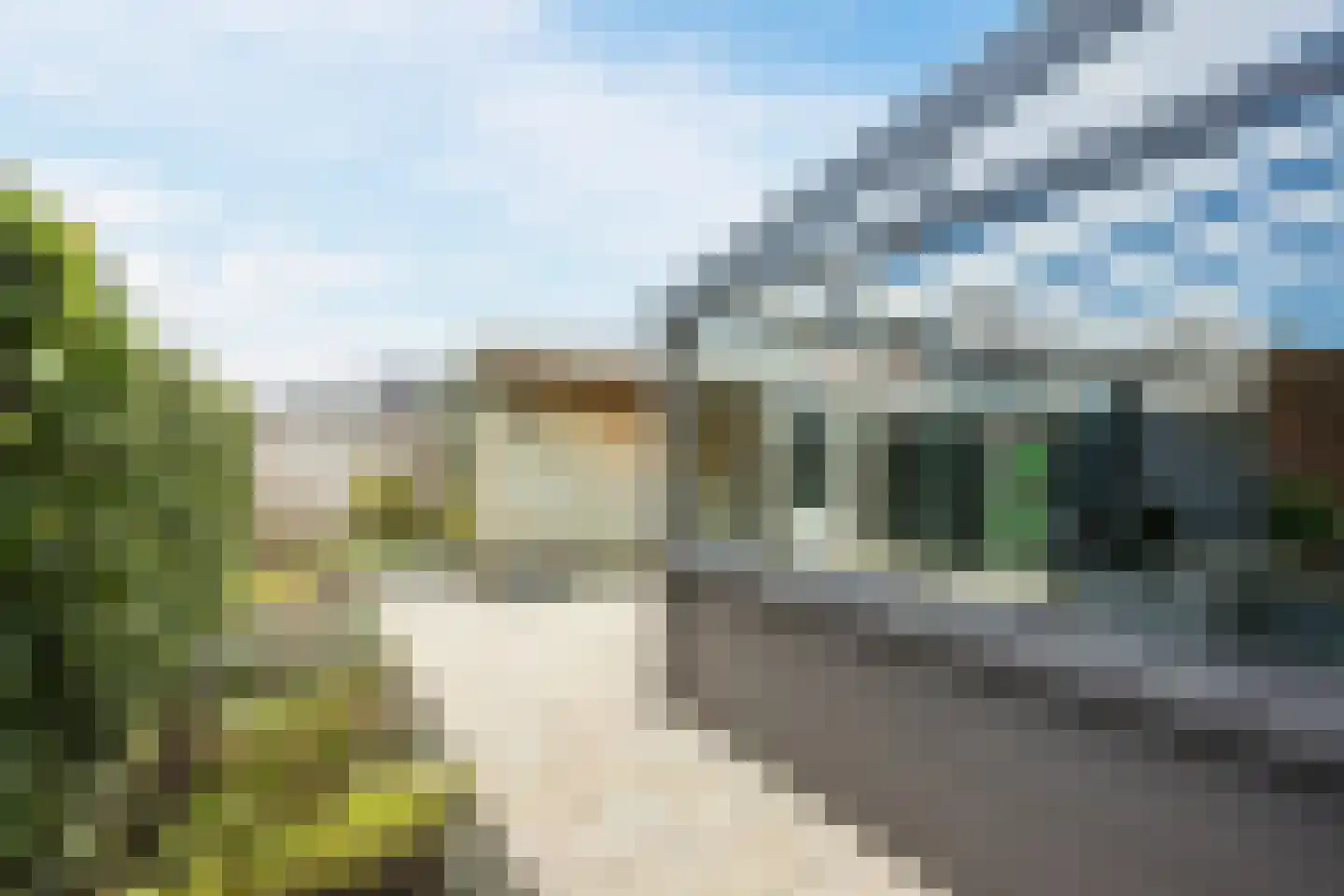 Paardenbloem 12 Ruurlo thumbnail 54