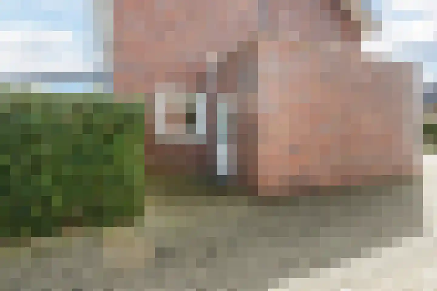 Paardenbloem 12 Ruurlo thumbnail 55