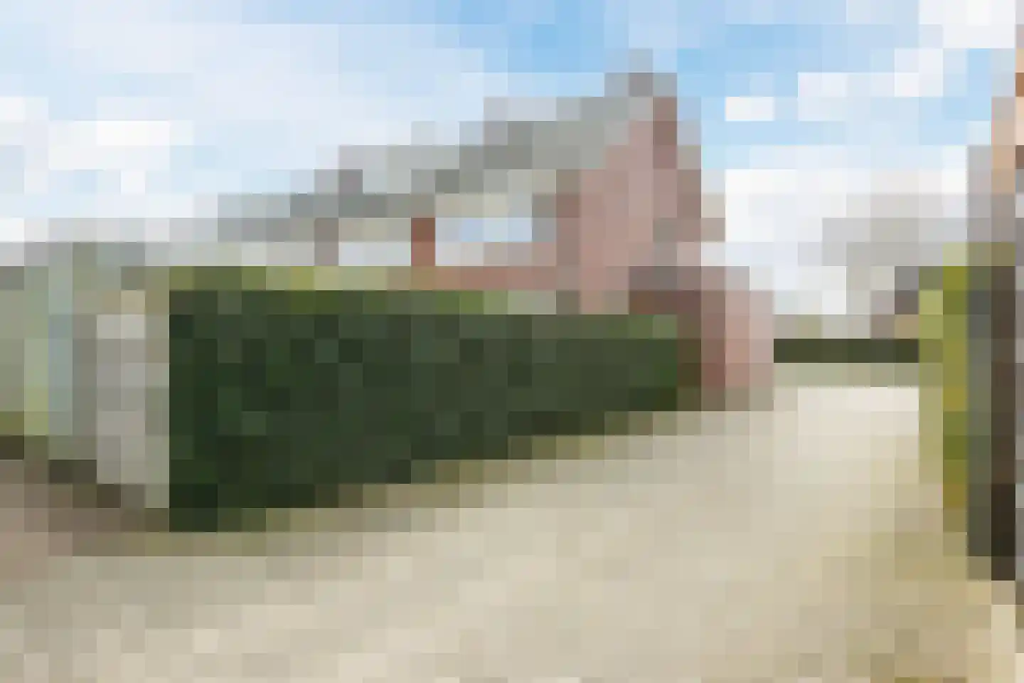 Paardenbloem 12 Ruurlo thumbnail 56