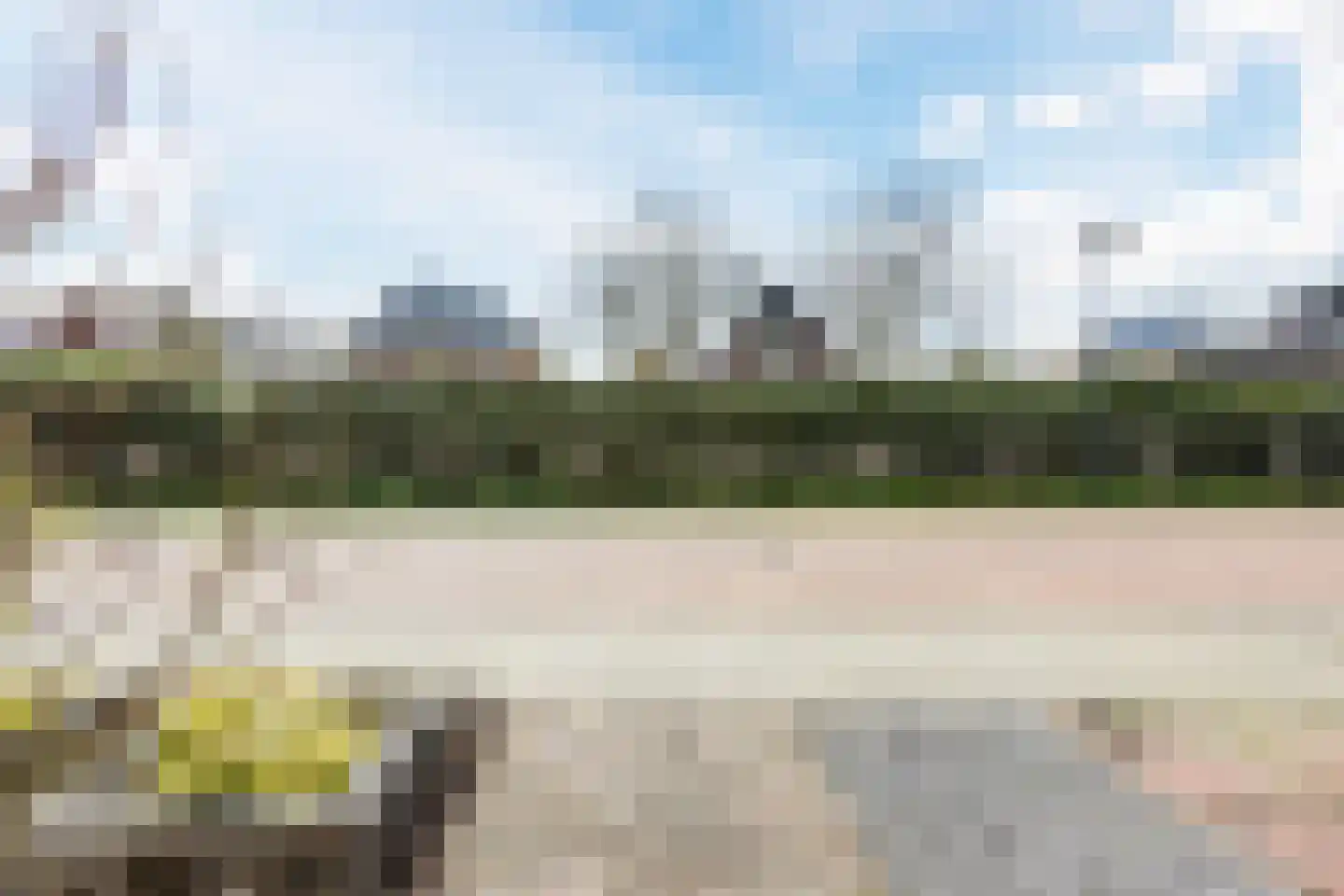 Paardenbloem 12 Ruurlo thumbnail 57