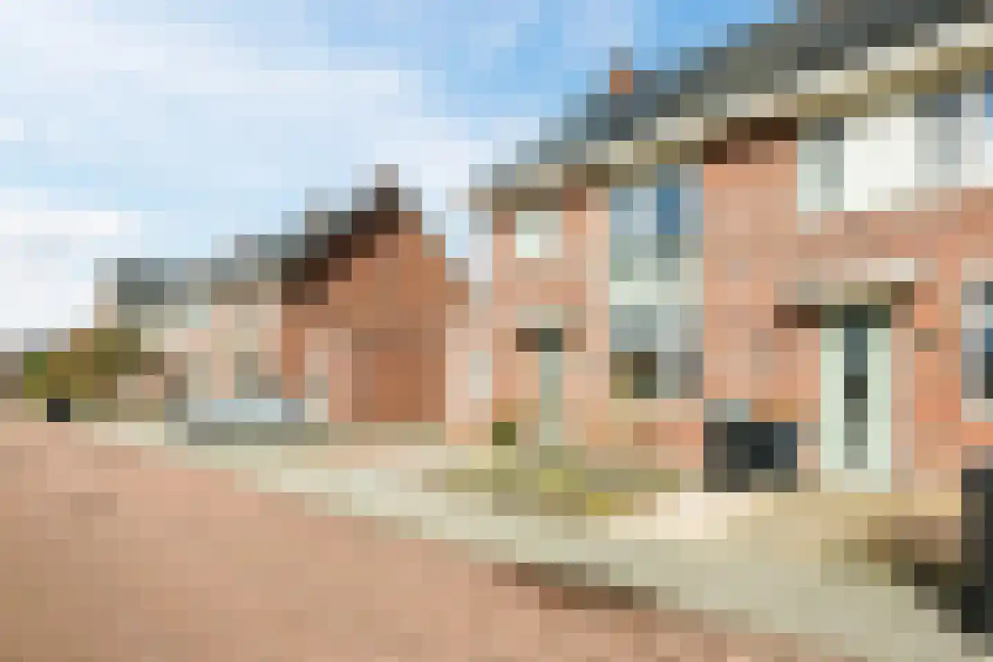 Paardenbloem 12 Ruurlo thumbnail 60