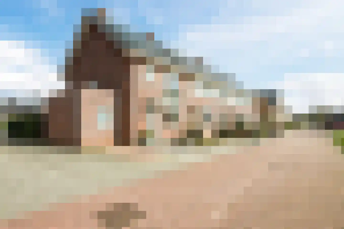 Paardenbloem 12 Ruurlo thumbnail 7