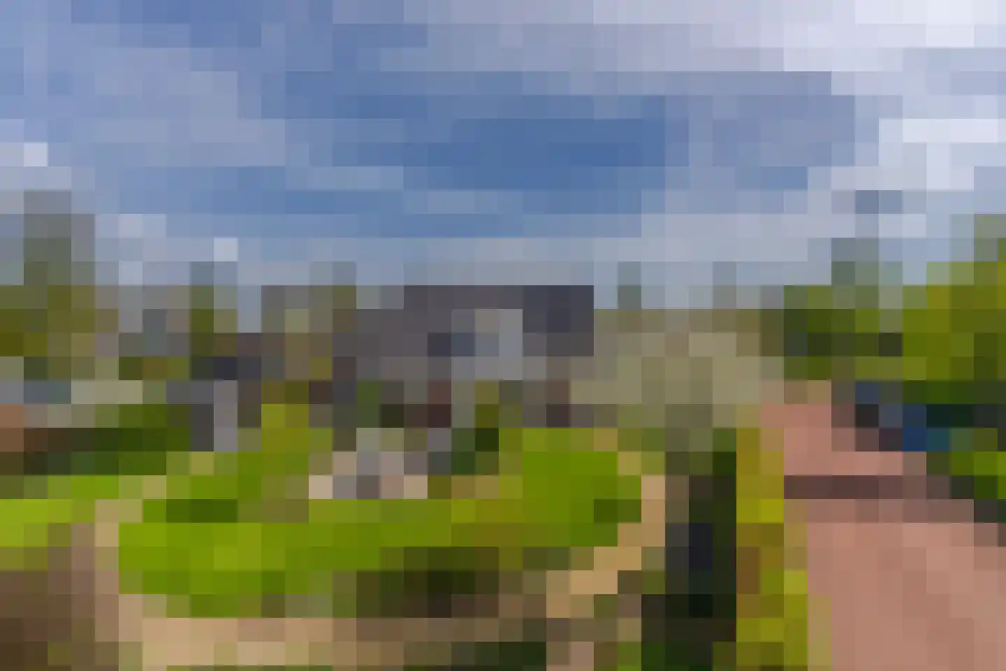 Paardenbloem 21 Driel thumbnail 35