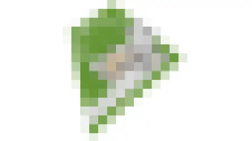 Paardenbloem 21 Driel thumbnail 48