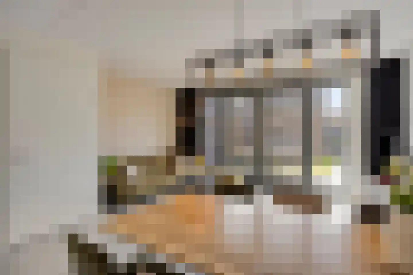 Paardenbloem 25 Berghem thumbnail 11
