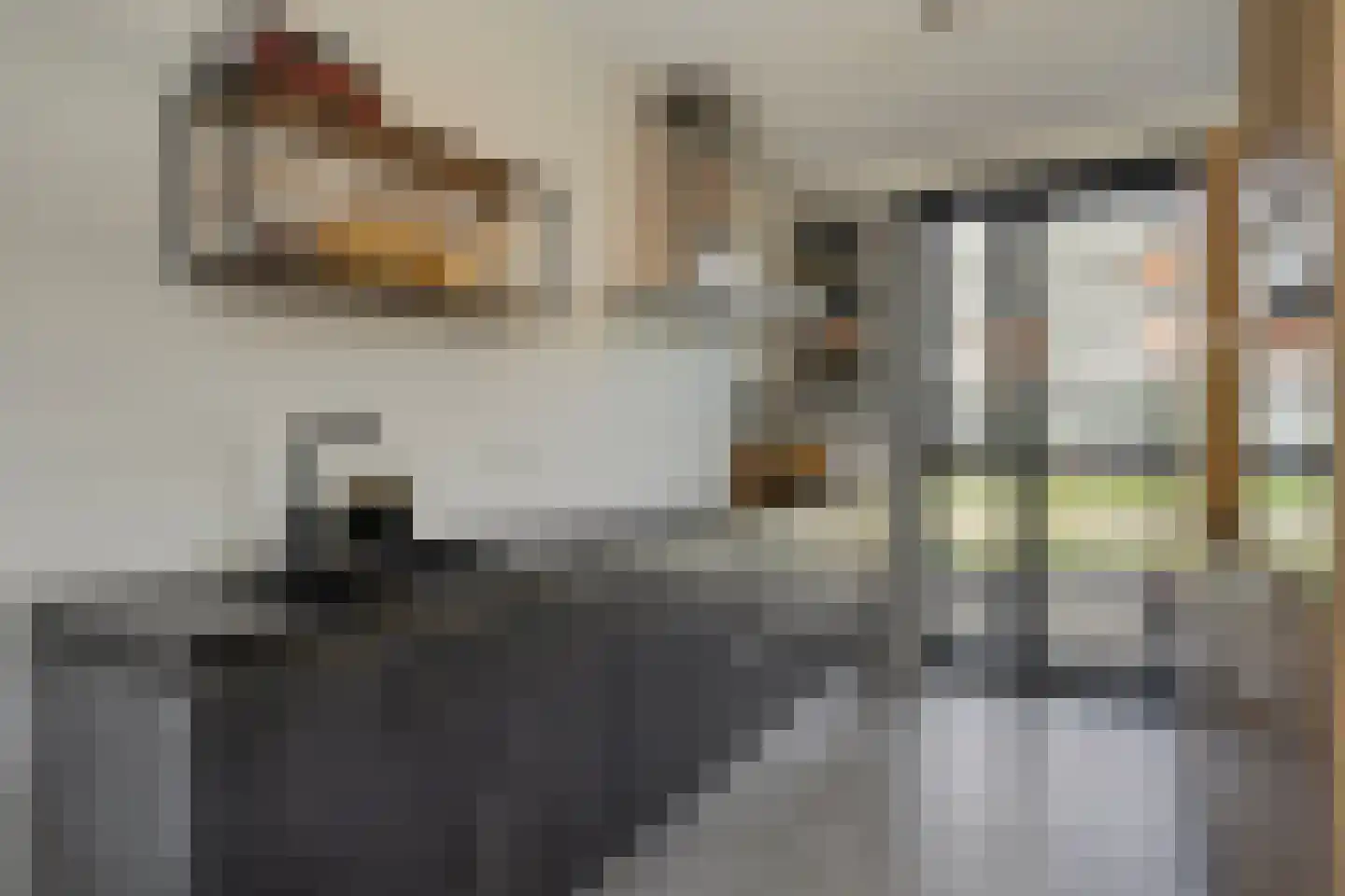 Paardenbloem 25 Berghem thumbnail 12