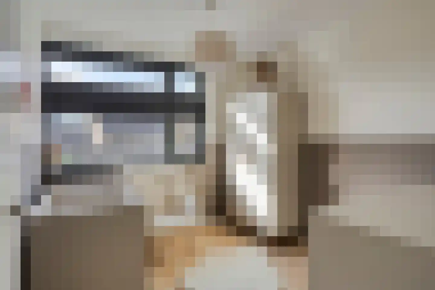 Paardenbloem 25 Berghem thumbnail 26