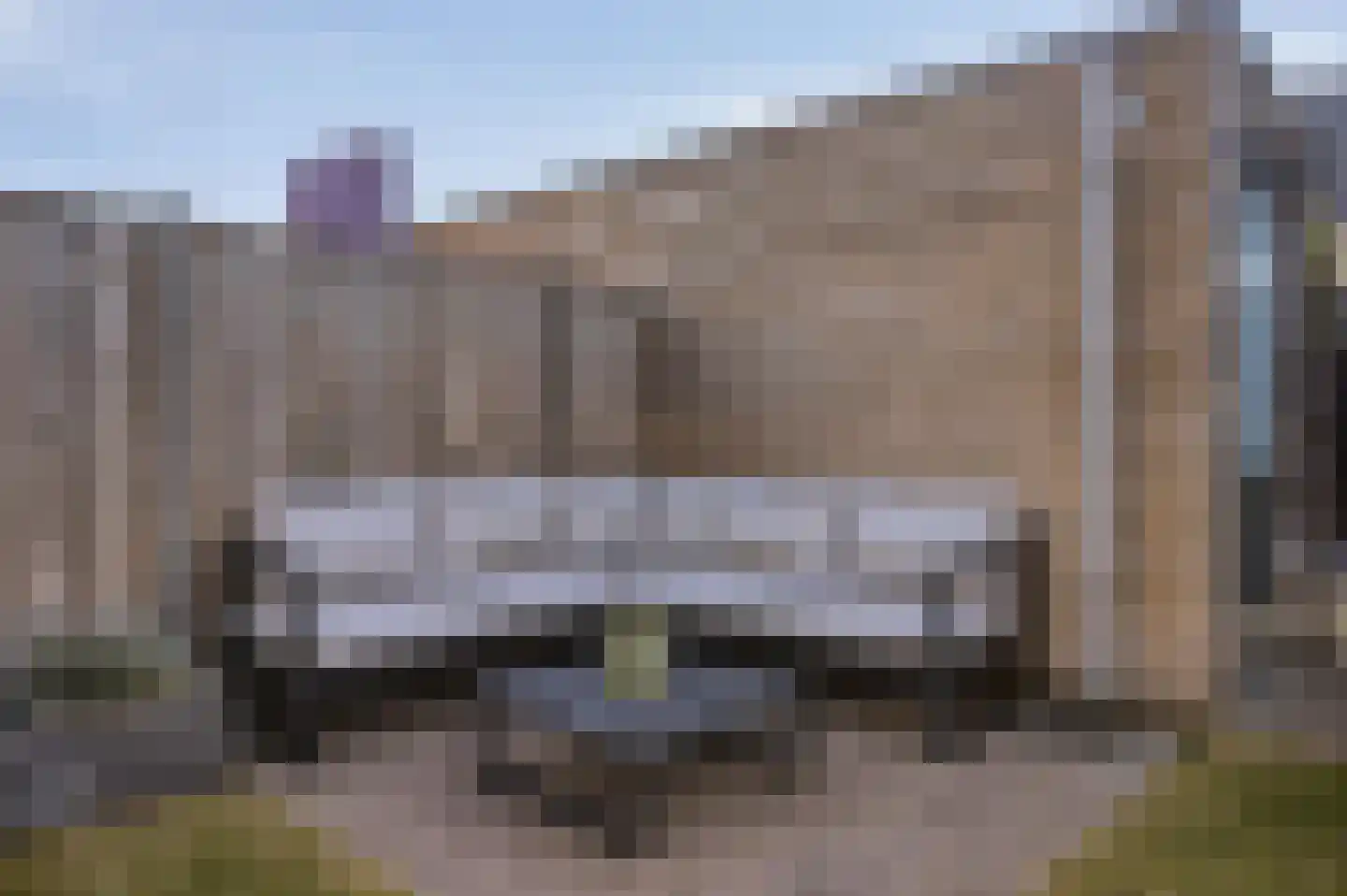 Paardenbloem 25 Berghem thumbnail 30