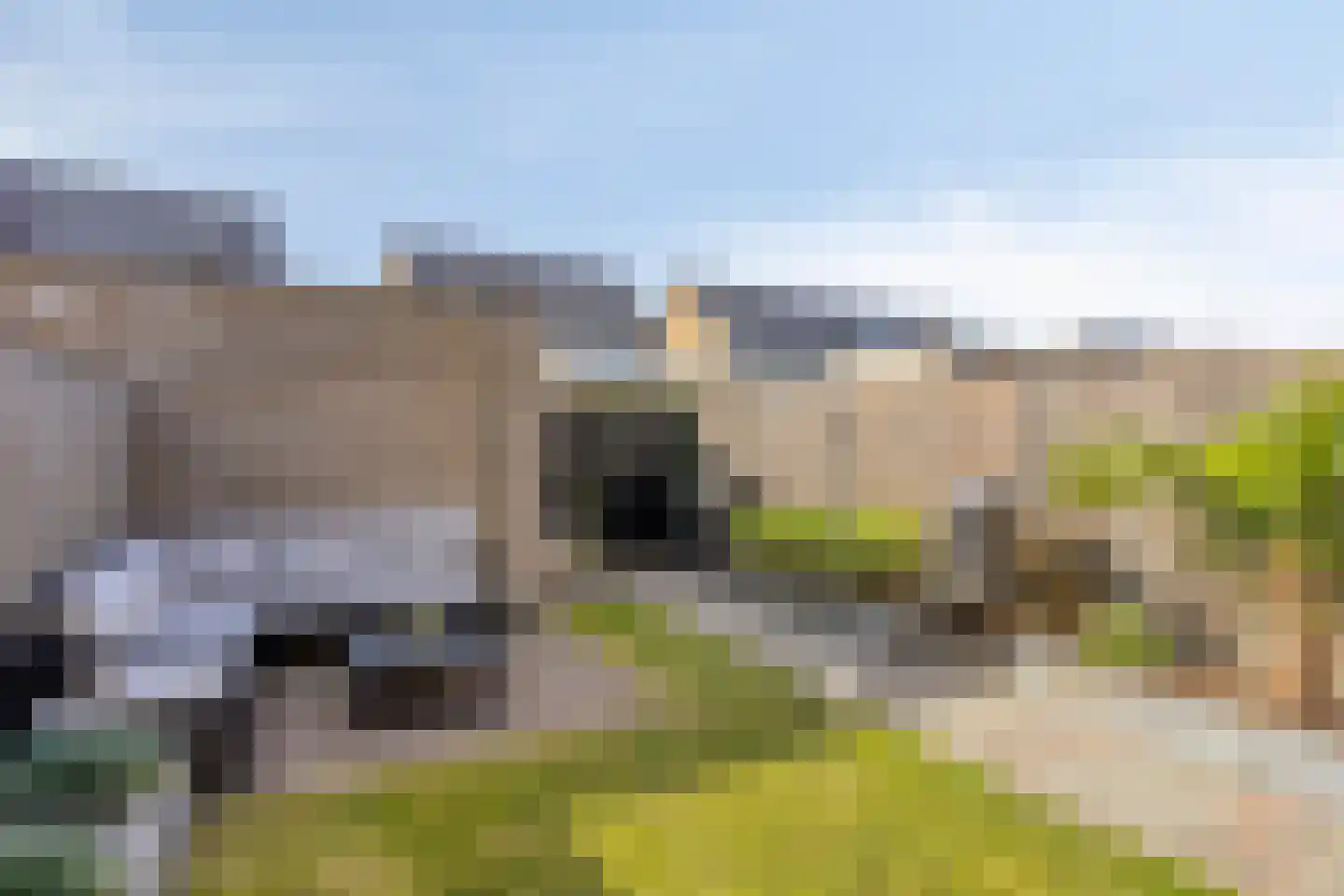Paardenbloem 25 Berghem thumbnail 32