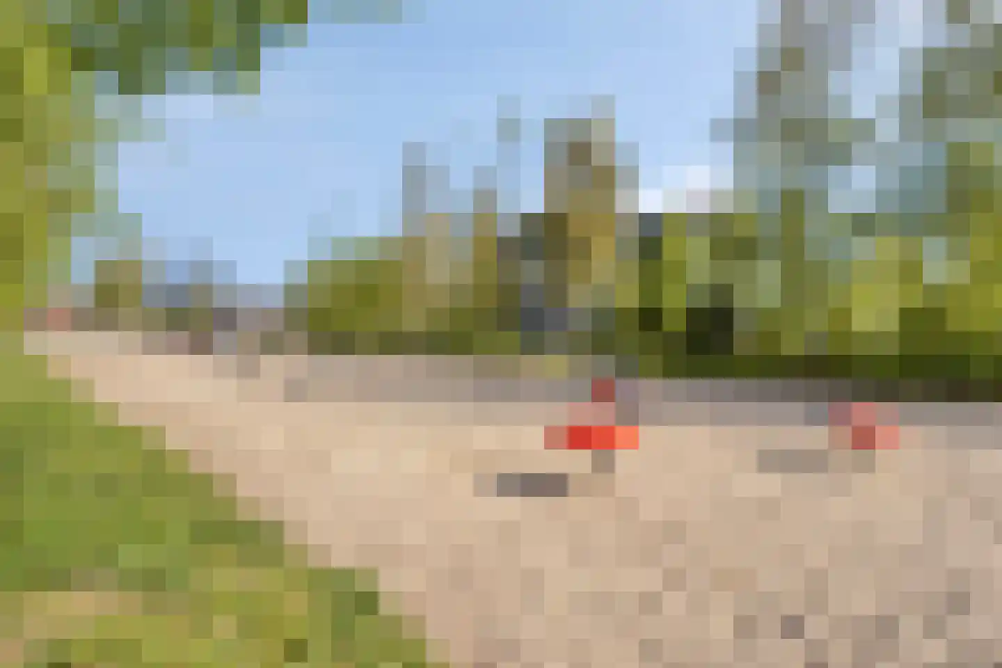 Paardenbloem 25 Berghem thumbnail 36