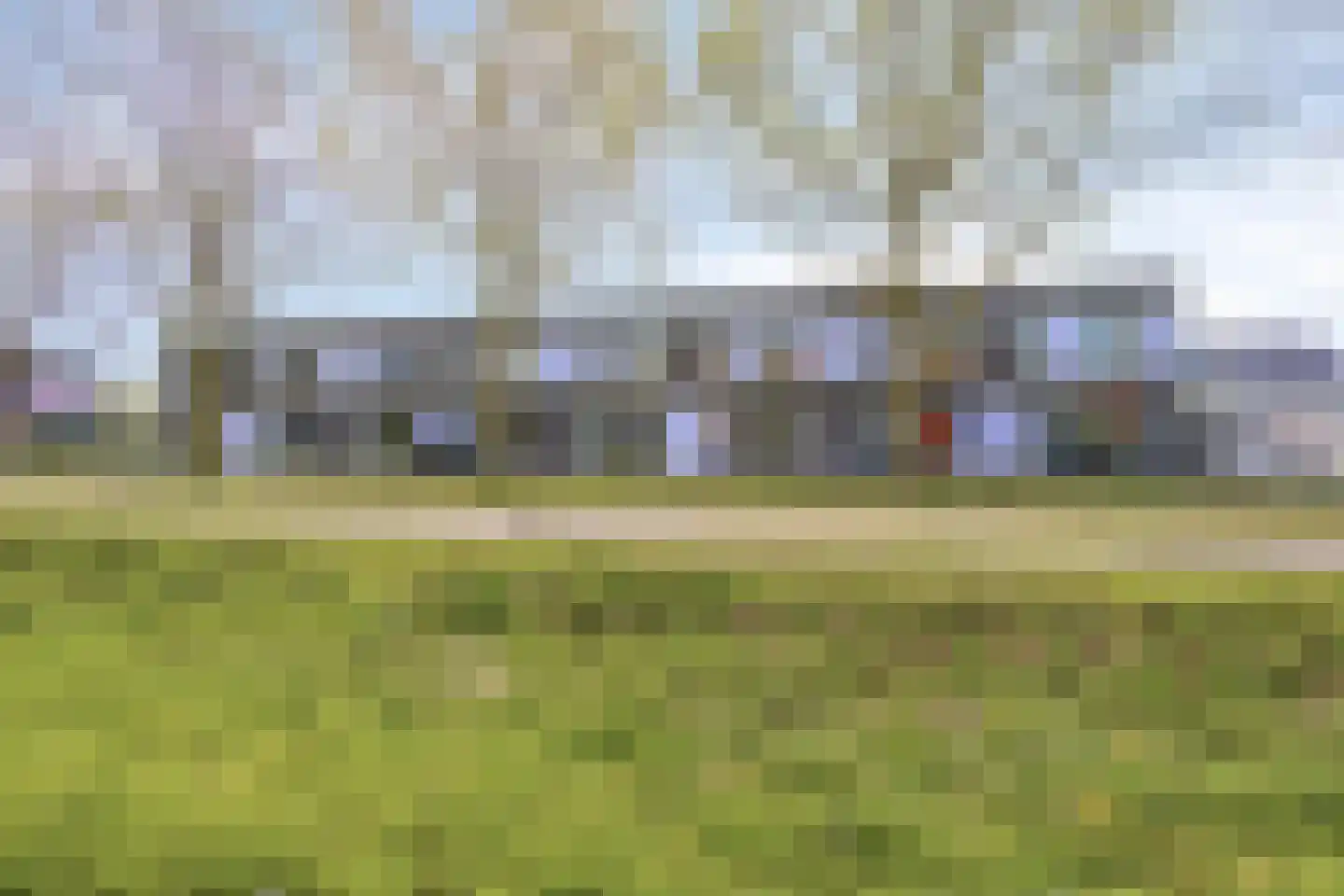 Paardenbloem 25 Berghem thumbnail 37