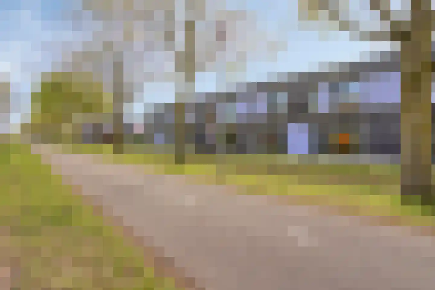 Paardenbloem 25 Berghem thumbnail 38