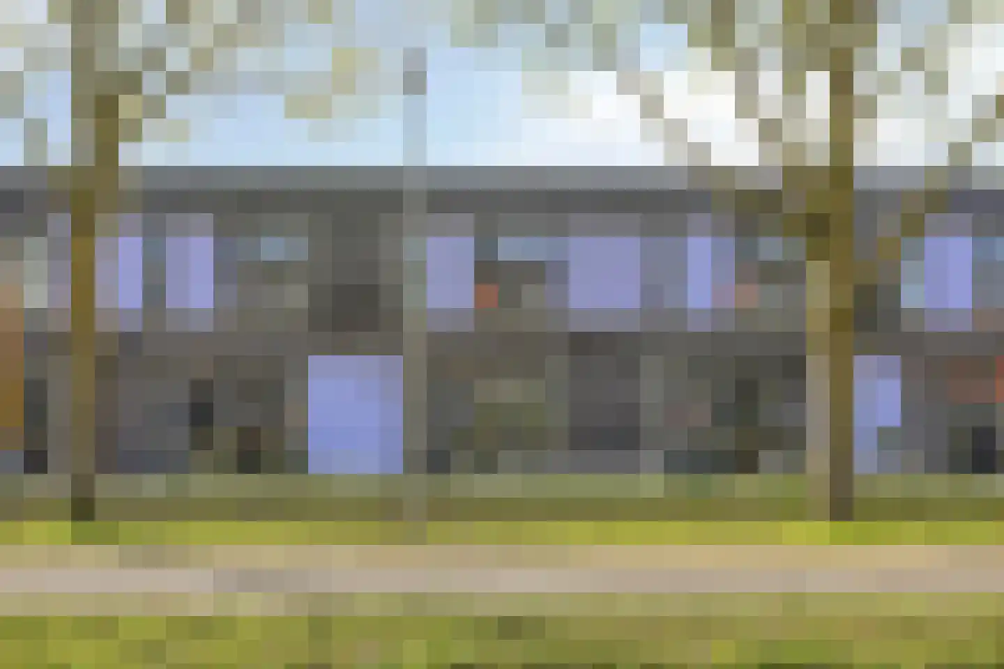 Paardenbloem 25 Berghem thumbnail 4