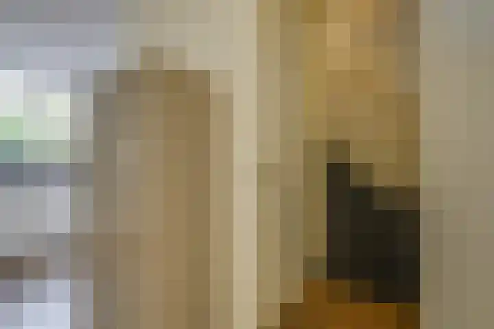 Paardenbloem 30 Naaldwijk thumbnail 14