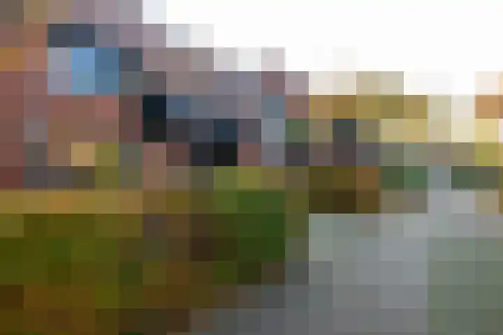 Paardenbloem 30 Naaldwijk thumbnail 30