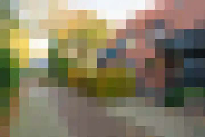 Paardenbloem 30 Naaldwijk thumbnail 31