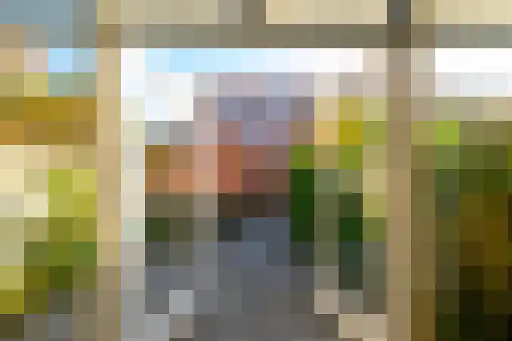Paardenbloem 30 Naaldwijk thumbnail 4