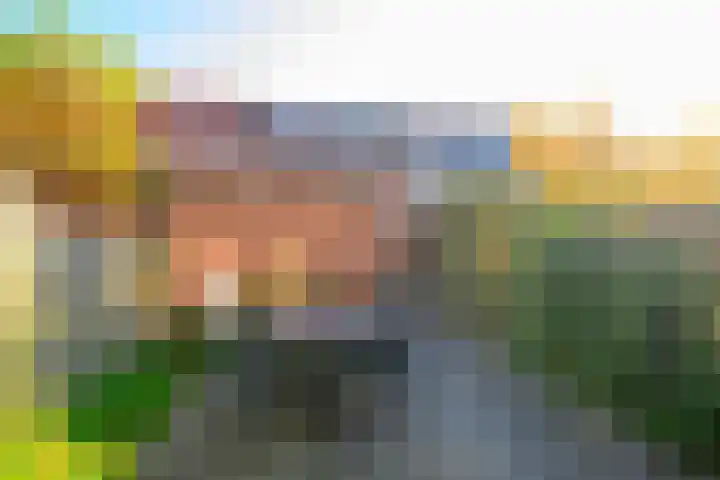 Paardenbloem 30 Naaldwijk thumbnail 6