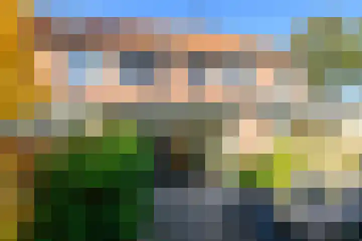 Paardenbloem 30 Naaldwijk thumbnail 7