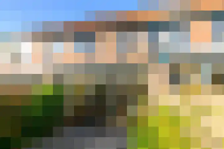 Paardenbloem 30 Naaldwijk thumbnail 8