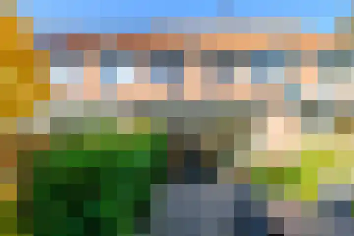 Paardenbloem 30 Naaldwijk thumbnail 9